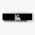 Kiing Baldwin AC Sticker